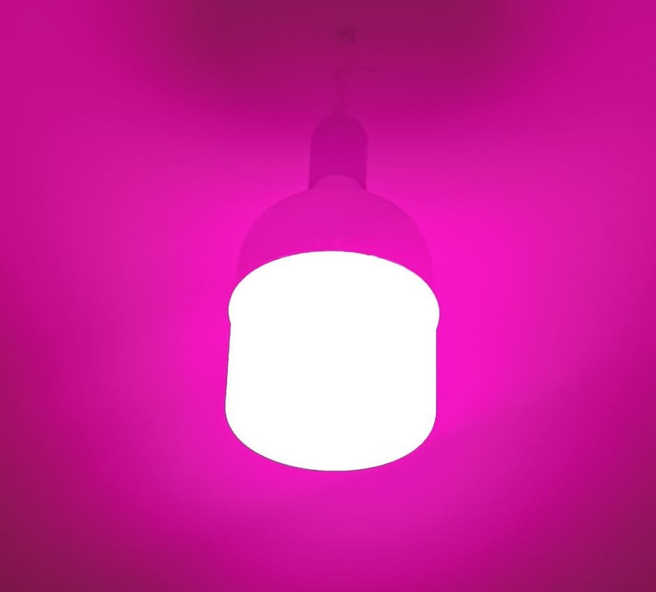 لامپ رشد گیاه 50 وات پرتونور ( فول اسپکتروم )